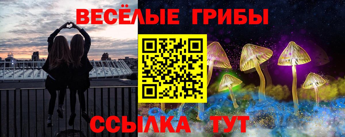 Галлюциногенные грибы Magic Shrooms  где продают наркотики  Псилоцибиновые грибы ЛСД  Прокопьевск  Вход с VPN 