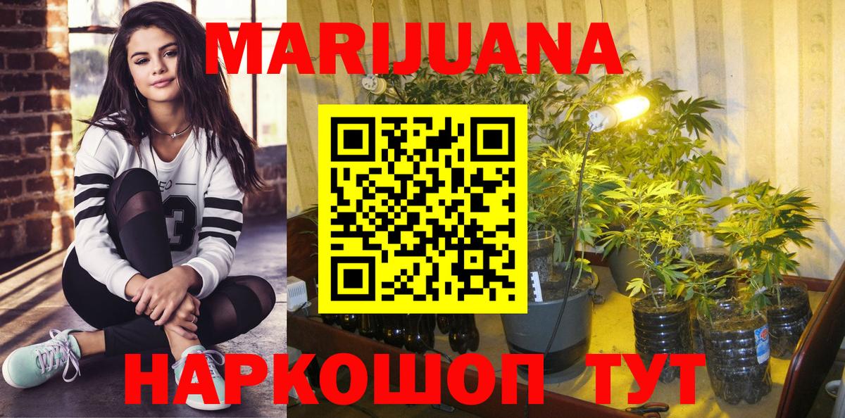 Бошки Шишки ГИДРОПОН  Канабис Bruce Banner  Вход с VPN  Марихуана марихуана  Конопля White Widow  Прокопьевск 